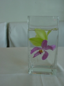 Cocktail tables received sweet and simple centerpieces of submerged orchids in square vases