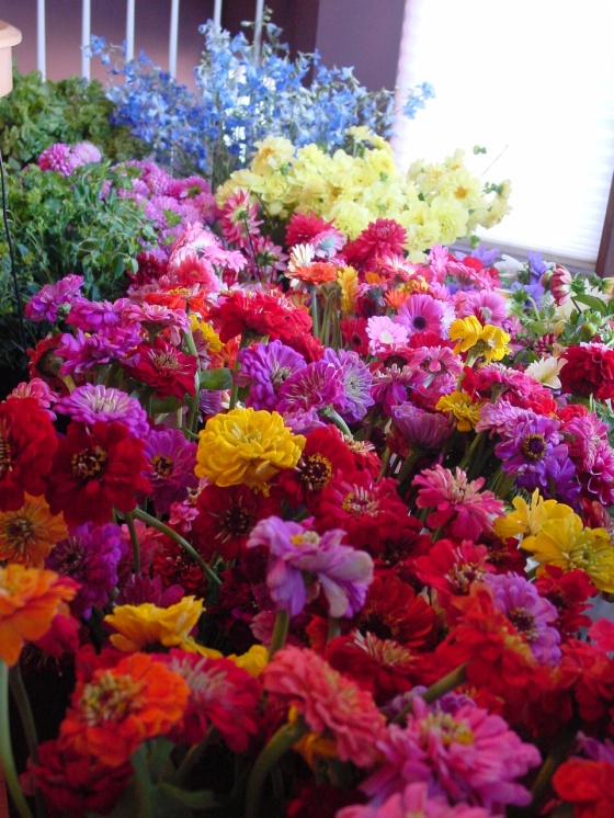 This vibrant bed of flowers awaits to become centerpieces